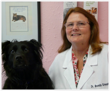 Brenda J. Ernest, DVM, DABVP Brenda J. Ernest, DVM, DABVP