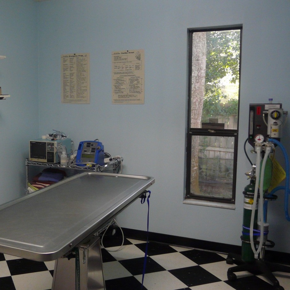 Surgery Suite Surgery Suite